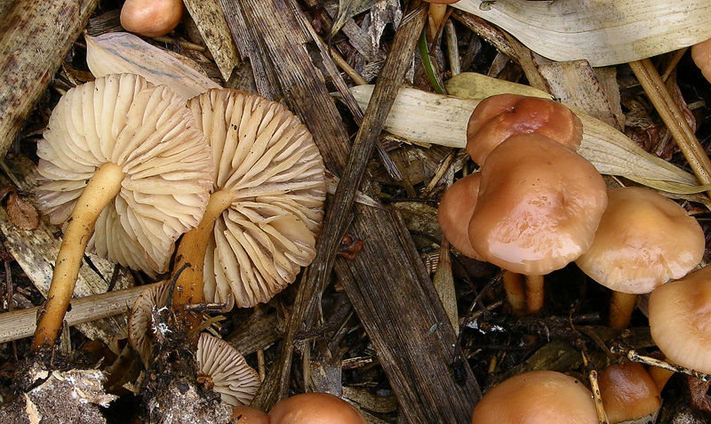 Risposte griglia 2 (marted� 29 maggio)